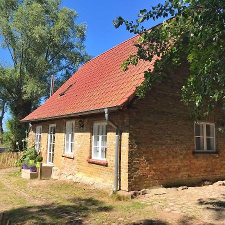 Hofgut Bisdamitz - Ferienhaus "Alte Muehle" 外观 照片