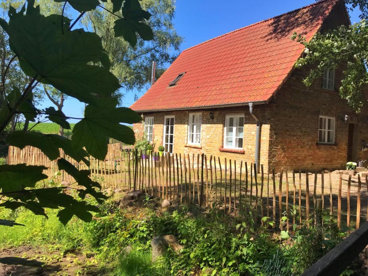 Hofgut Bisdamitz - Ferienhaus "Alte Muehle" 外观 照片